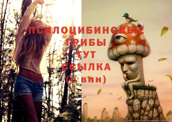 кристаллы Белокуриха