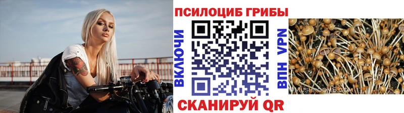 Галлюциногенные грибы мицелий  Усолье 